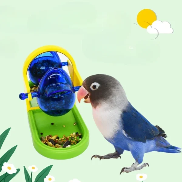 Bird Cage Feeder