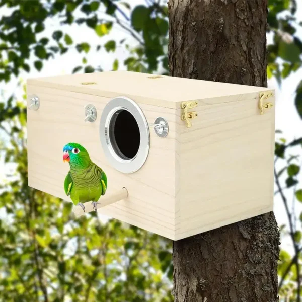 Wood Bird House Nest Birds Breeding