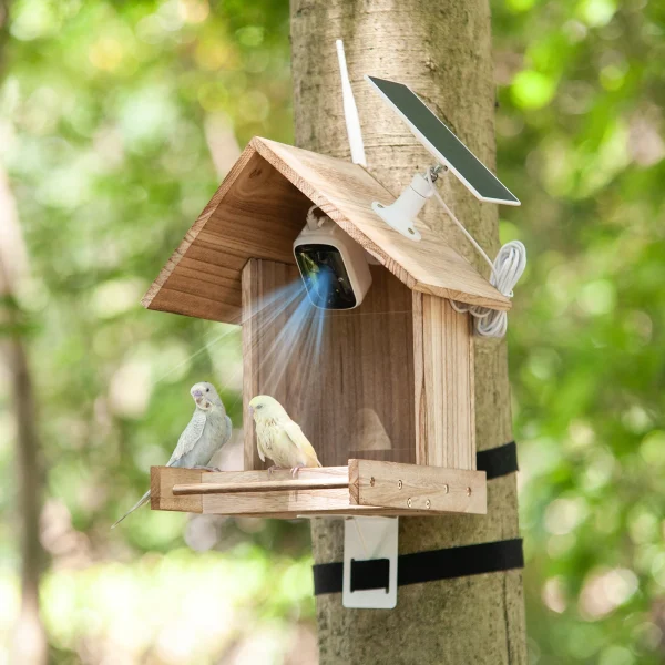 Smart Bird Feeder Solar Powered Camera