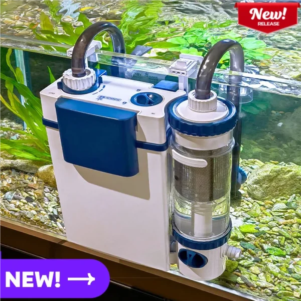 Water Purification Oxidation System